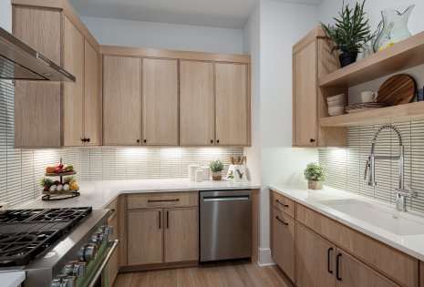 1095 Hamilton Dr - Model