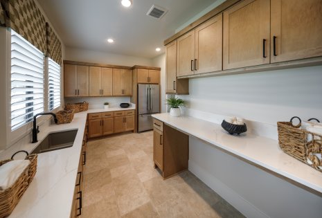 35602 Brassavola Terrace