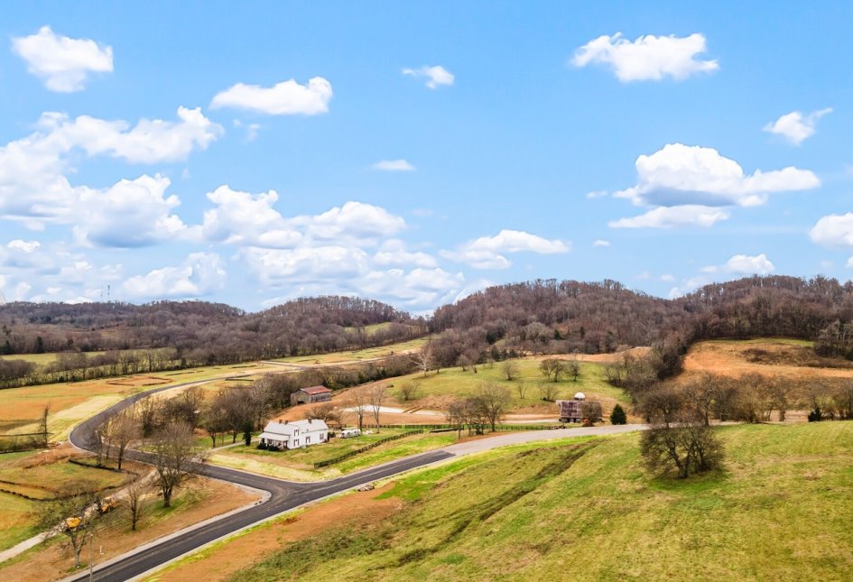 The Hills