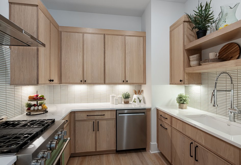1095 Hamilton Dr - Model