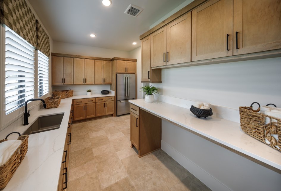 35602 Brassavola Terrace