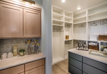 646 Barrel Oak - Legacy Model