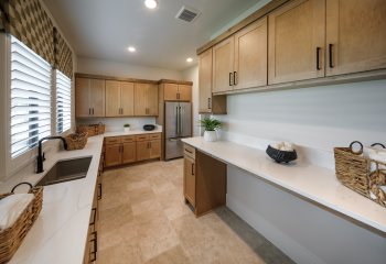 35602 Brassavola Terrace